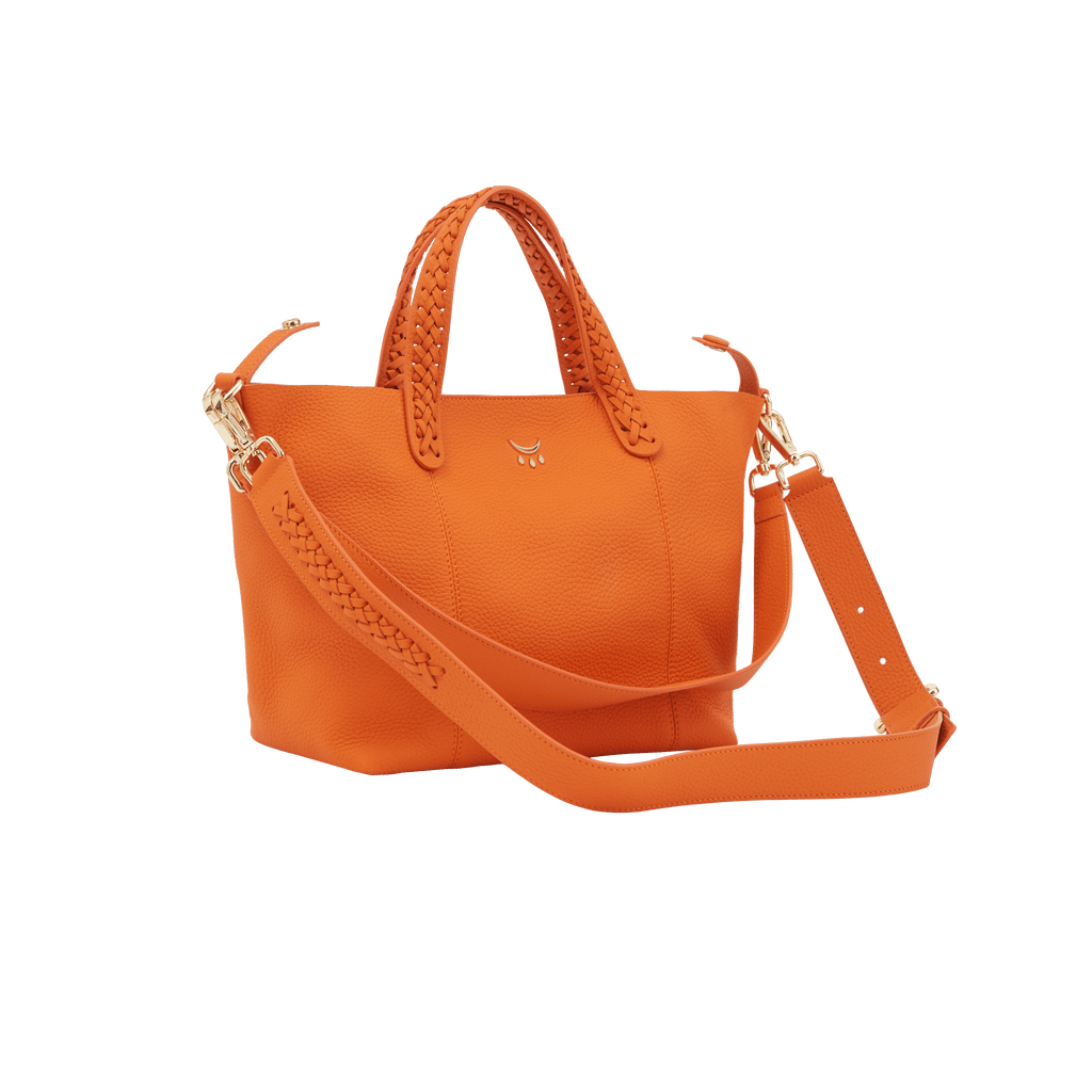 Micro Hemithea - Orange