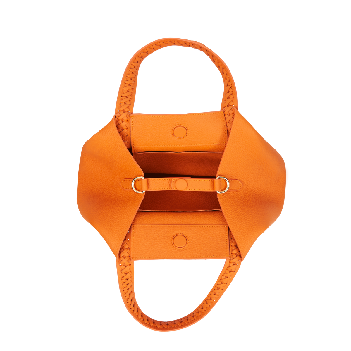 Micro Hemithea - Orange