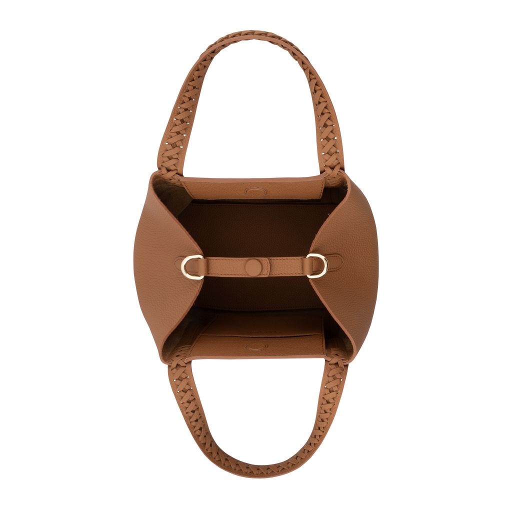Micro Hemithea - Camel