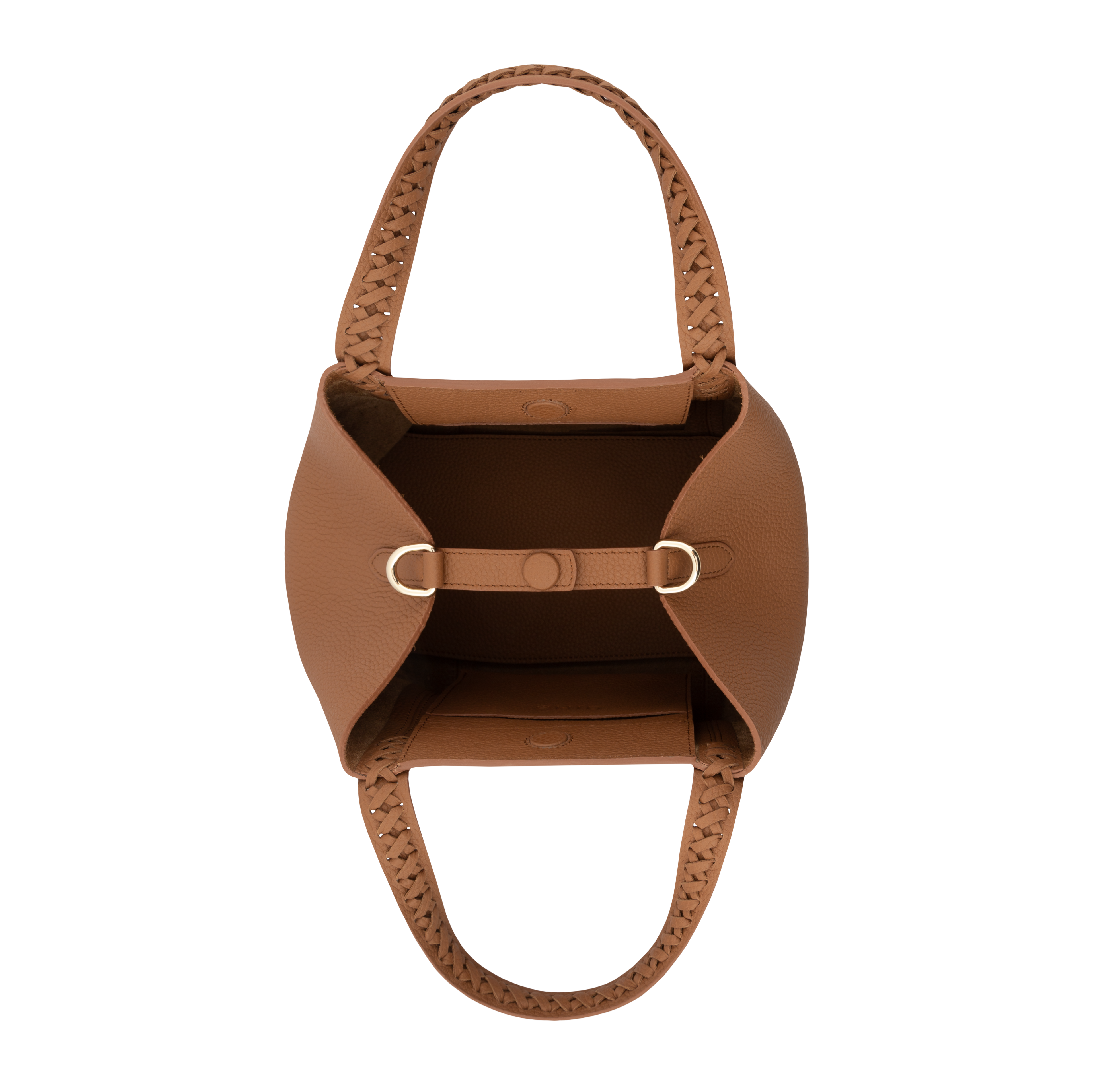 Micro Hemithea - Camel