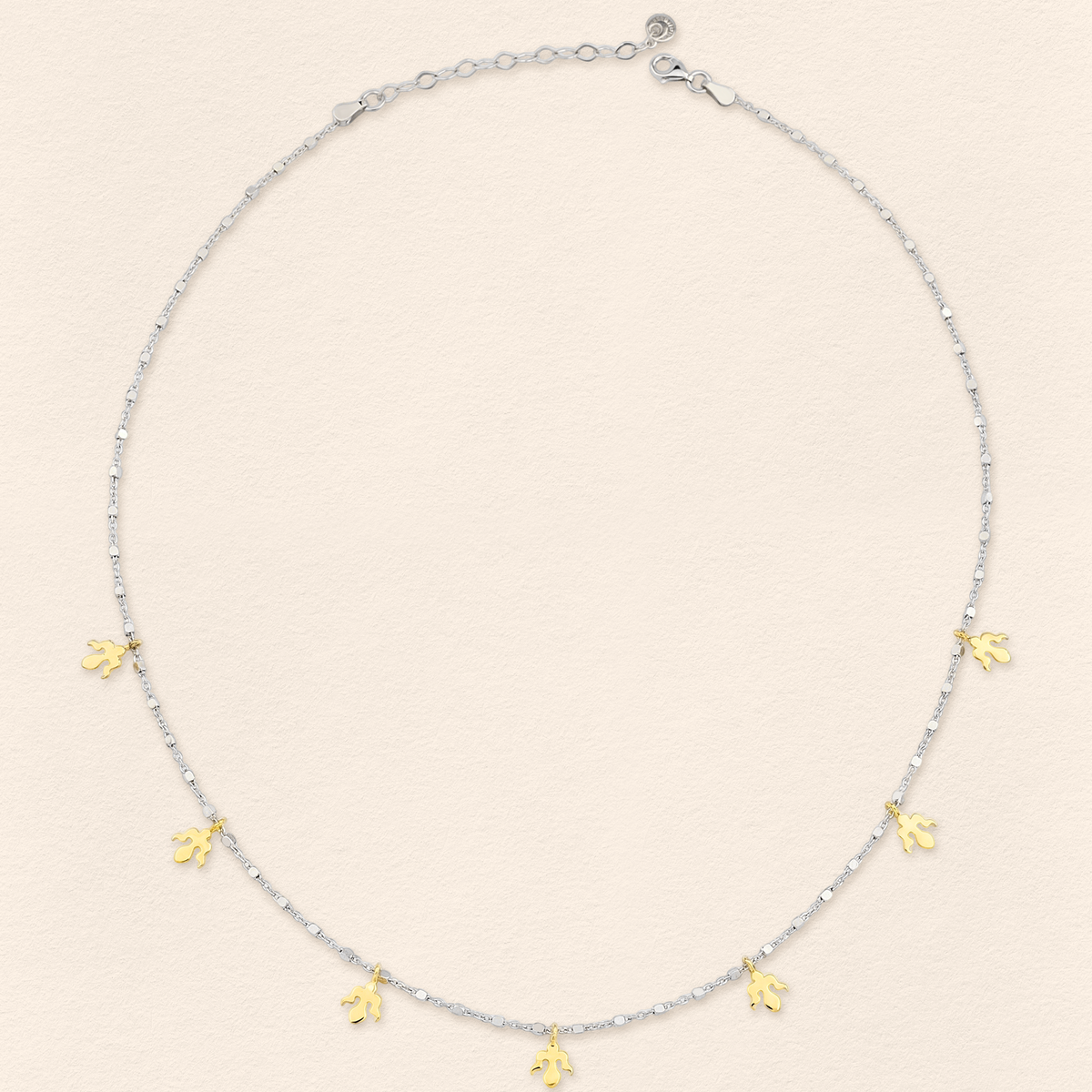 Alka Thin Necklace