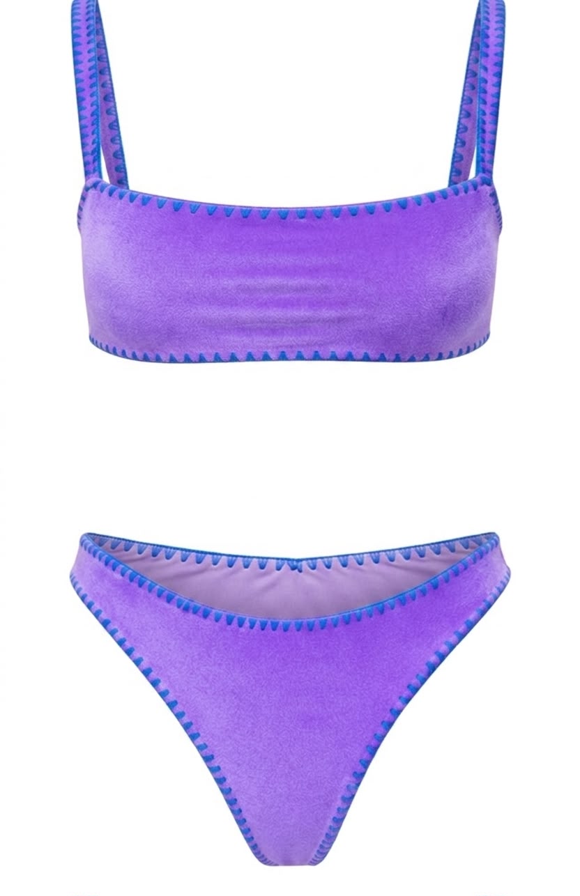 Meghan Hand-Embroidered Velvet Bikini In Purple