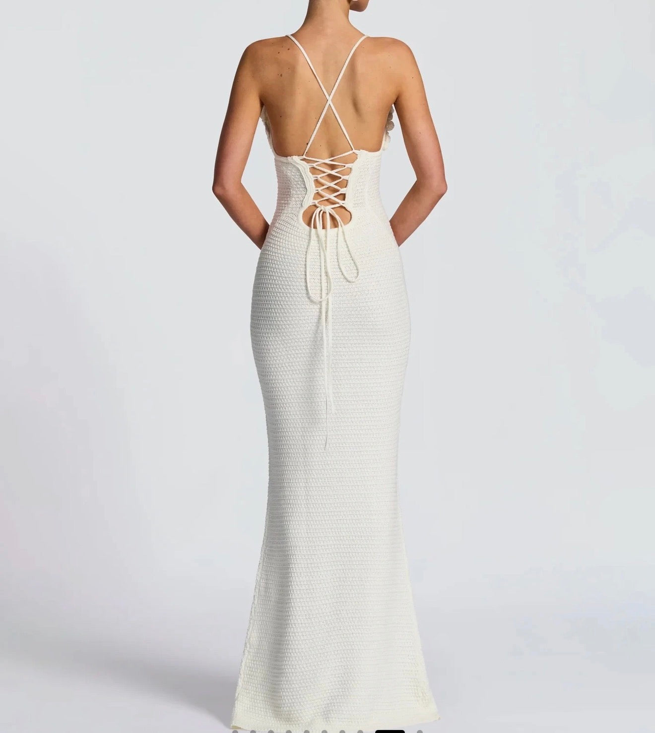 Camélia Blanche - 3