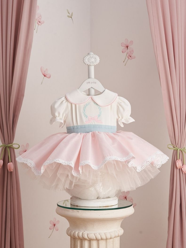 Embroidered Blue Pink Special Occasion Dress