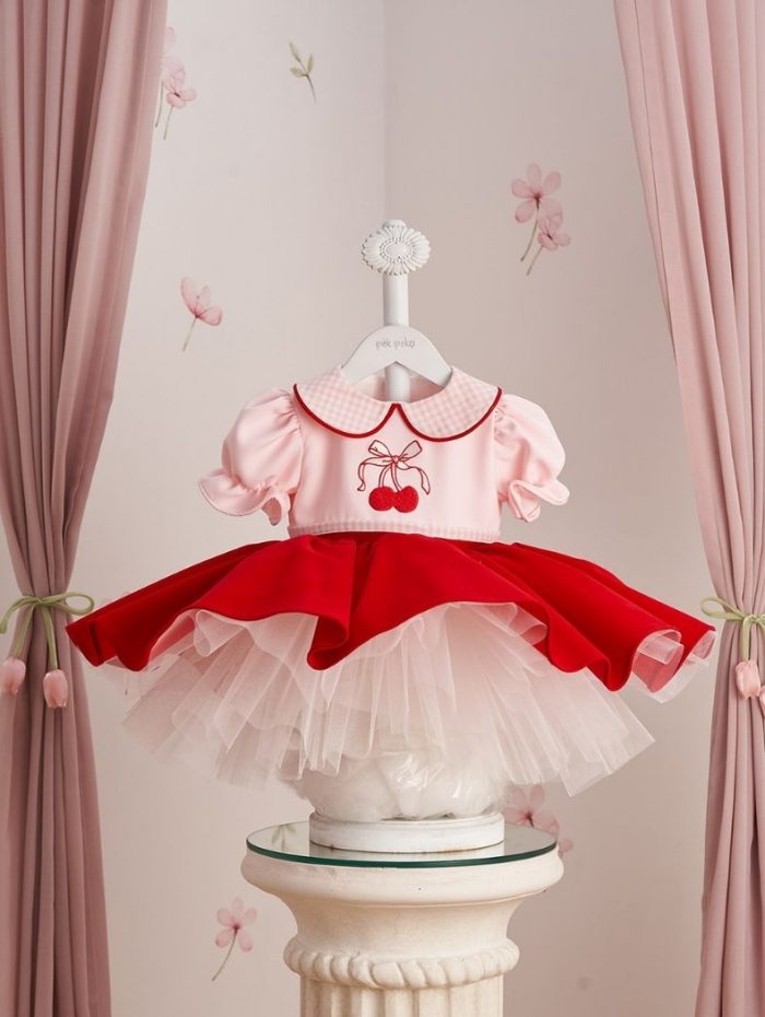 Pink Plaid Collar Cherry Embroidered Special Occasion Dress