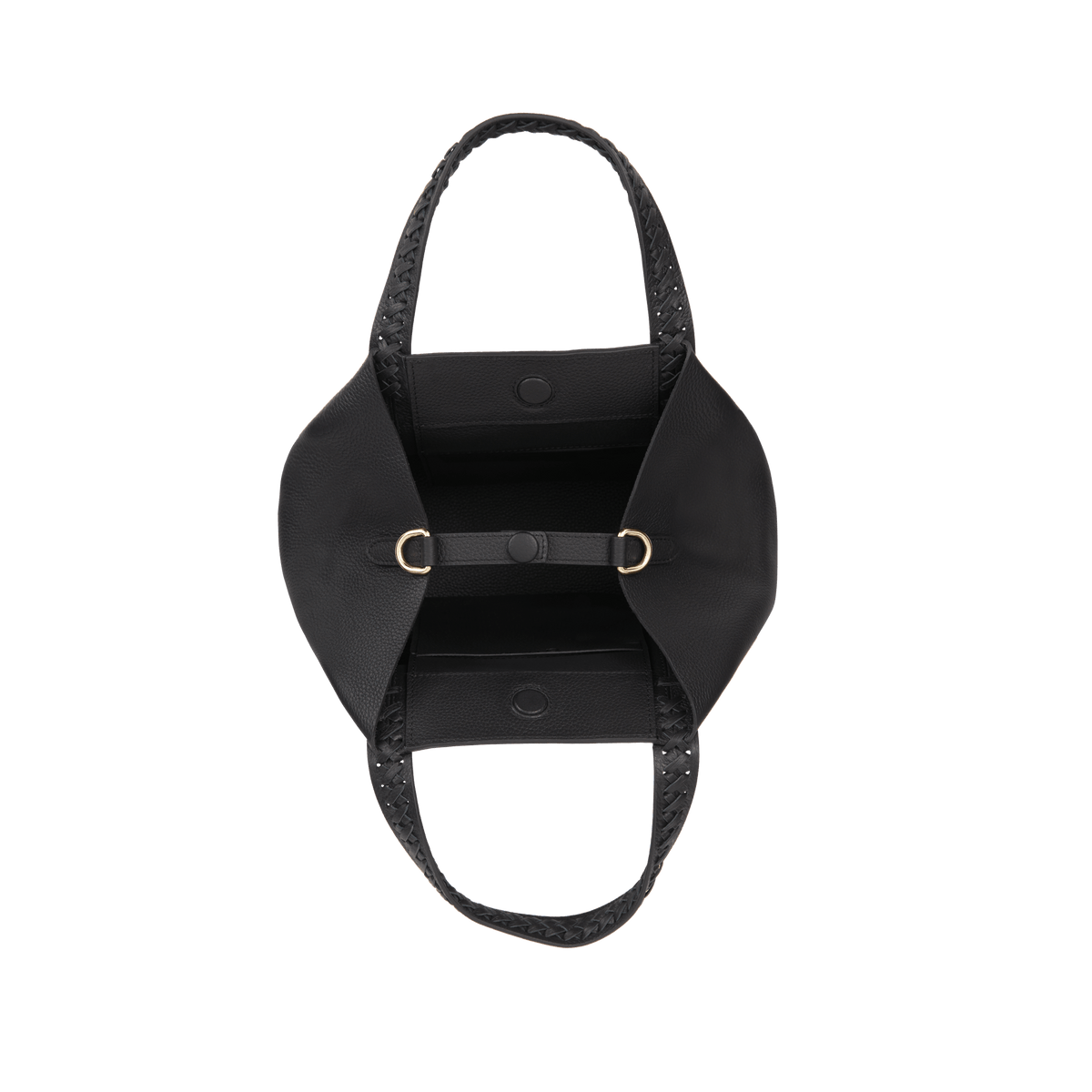 Micro Hemithea - Black