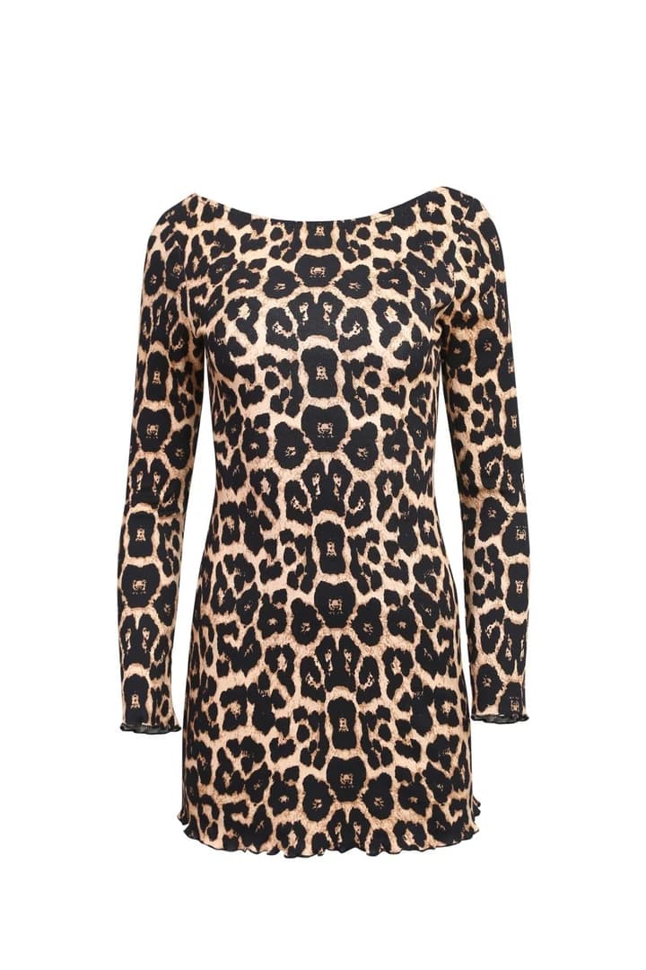 Almeida Leopard Print Mini Dress
