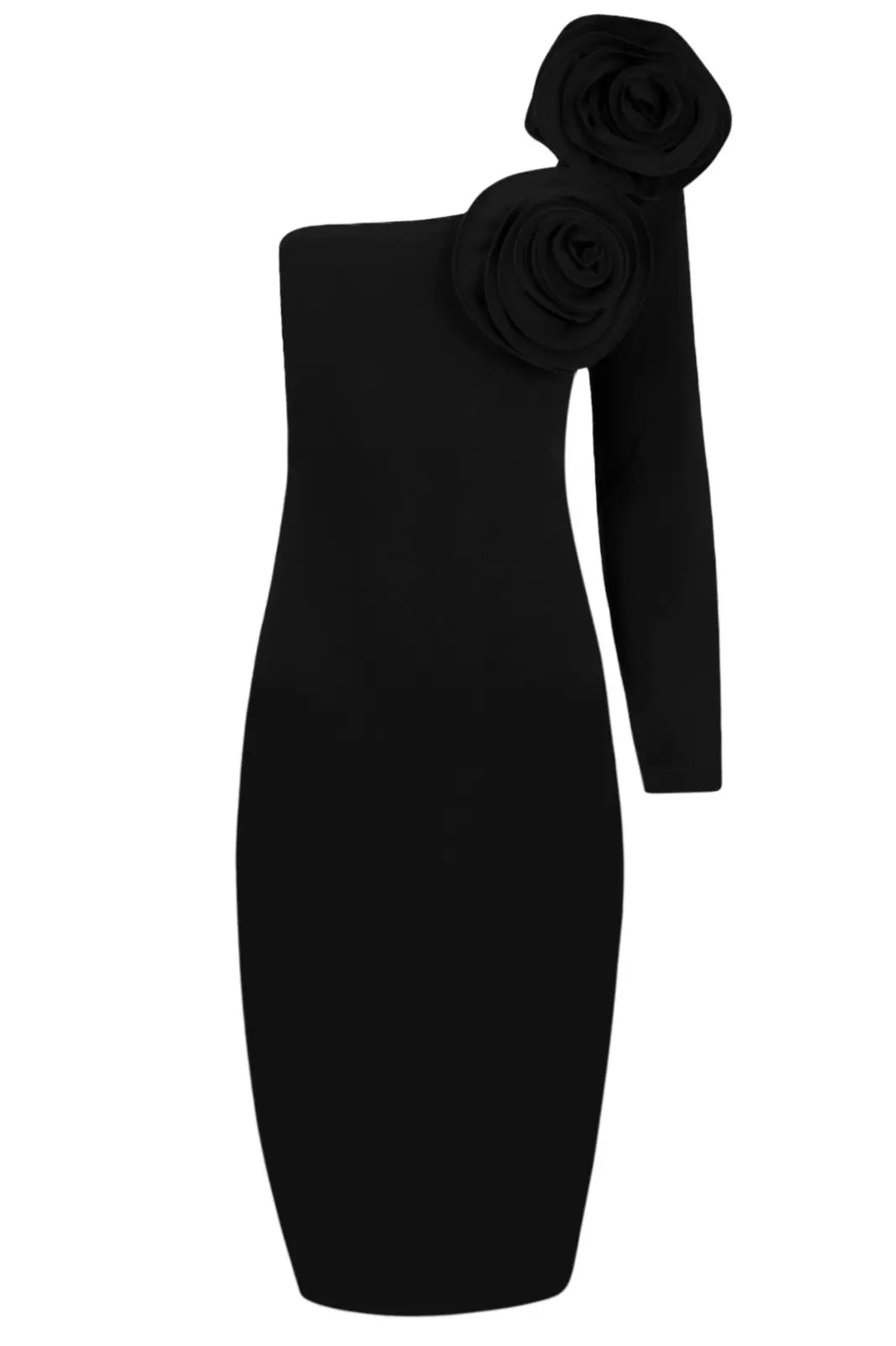 Sophia Rose Detail One-Shoulder Long Dress - 2
