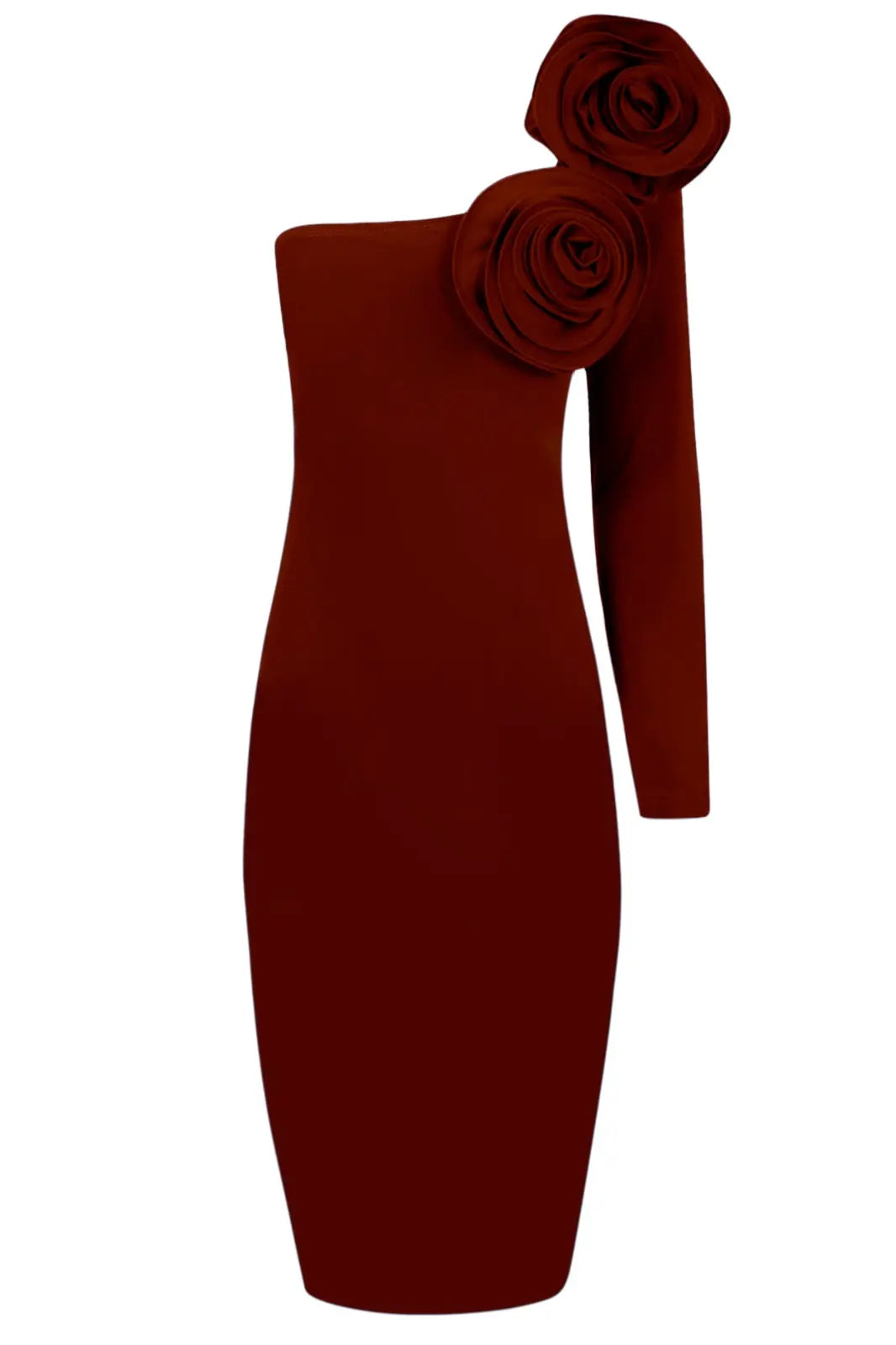 Sophia Rose Detail One-Shoulder Long Dress