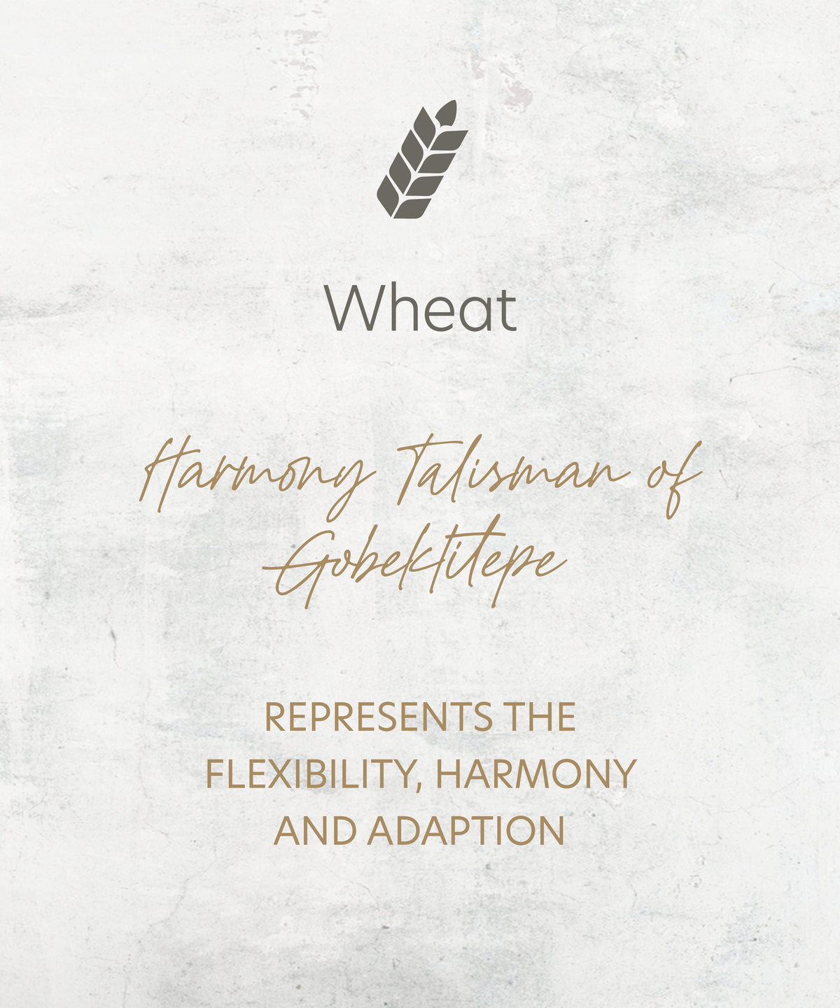 Wheat Gold Earrings - 5